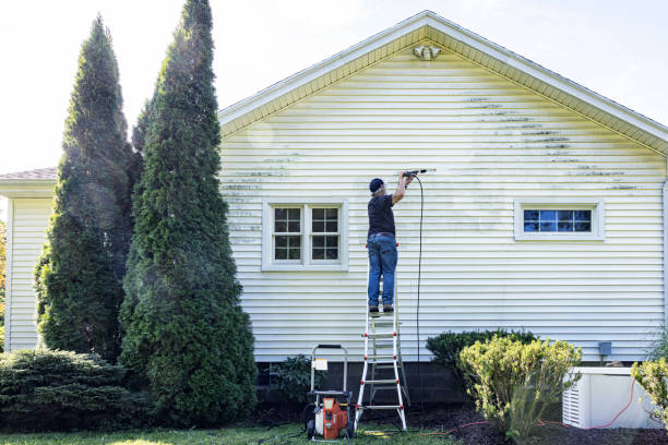 Best Roof Washing  in Dunlap, IL